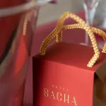 Sacha 4* Paříž